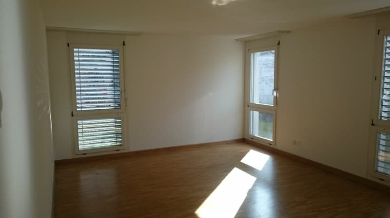 3.5 Zimmerwohnung im Dachgeschoss (5)