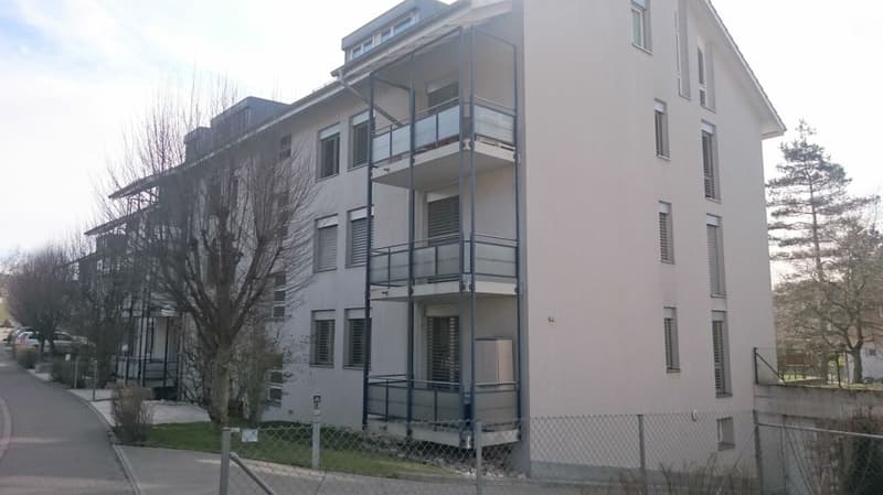 3.5 Zimmerwohnung im Dachgeschoss (1)