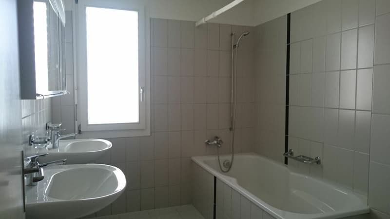 3.5 Zimmerwohnung im Dachgeschoss (3)