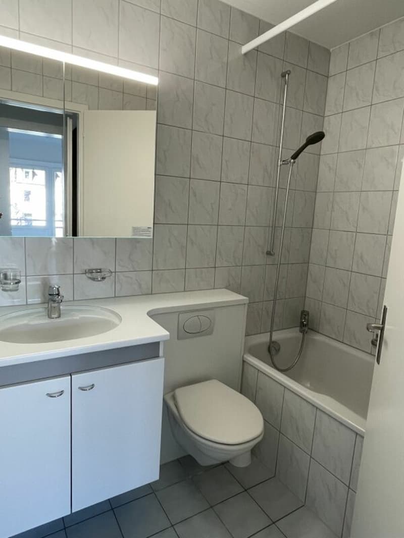 1-room apartment near Rhine (5)