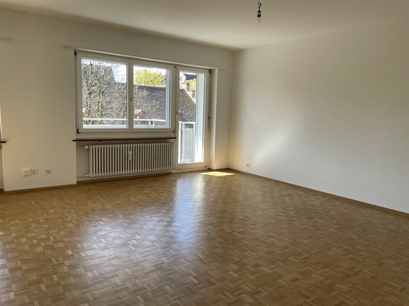 1-room apartment near Rhine (3)