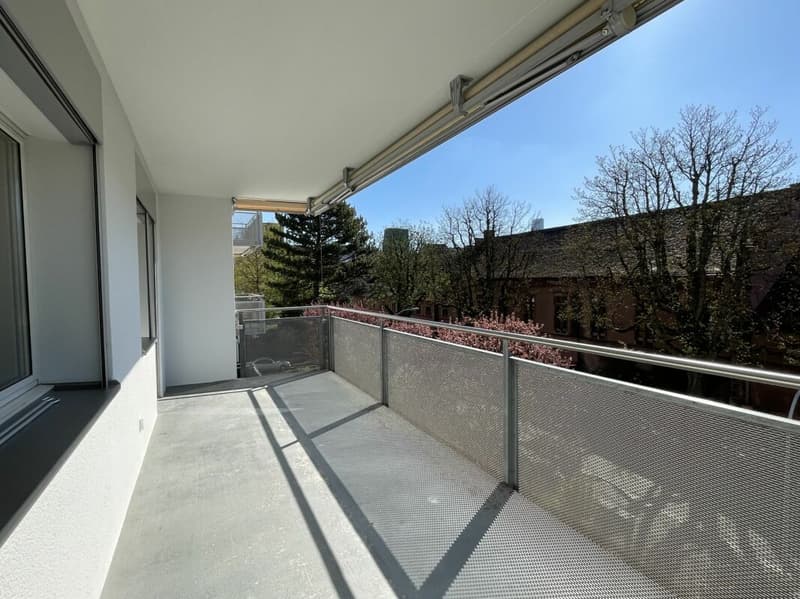 1-room apartment near Rhine (6)