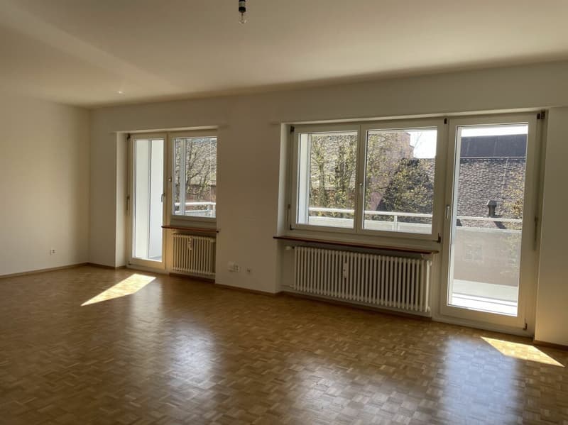 1-room apartment near Rhine (2)