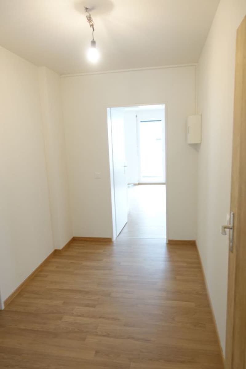 Modern apartment in Lehenmatt quarter (7)