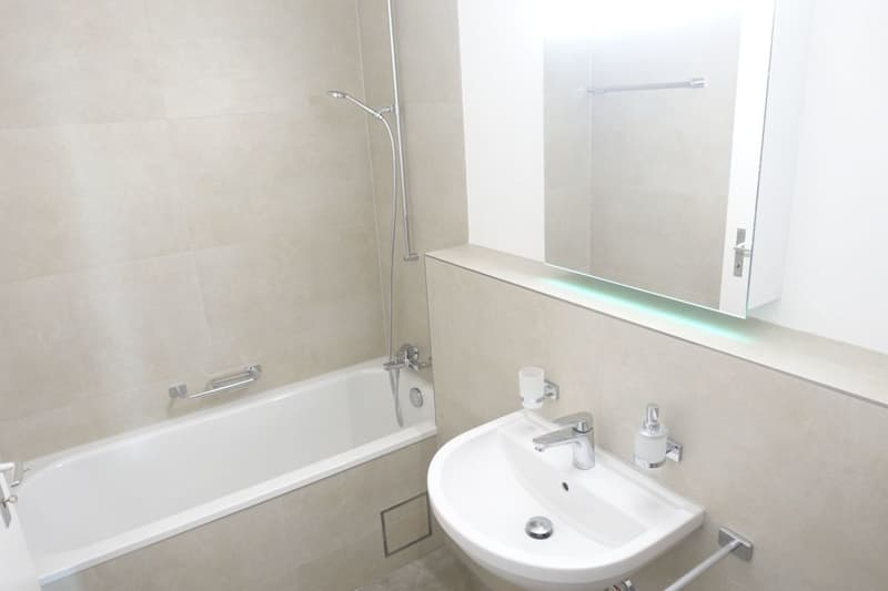 Modern apartment in Lehenmatt quarter (3)