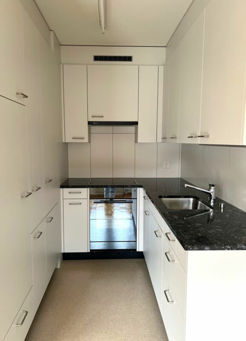 Modern apartment in Lehenmatt quarter (4)