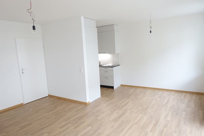 Modern apartment in Lehenmatt quarter (5)