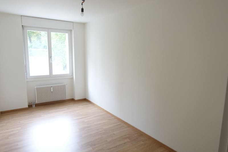 Modern apartment in Lehenmatt quarter (6)