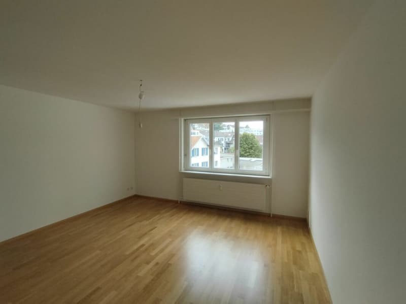 1-Zimmerwohnung in Binningen (2)