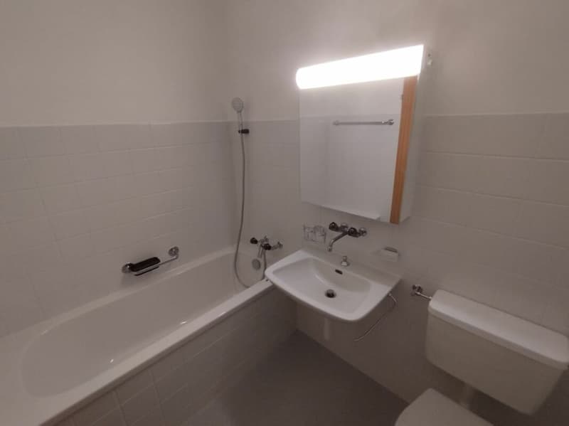 1-Zimmerwohnung in Binningen (5)