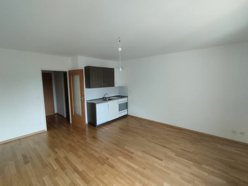 1-Zimmerwohnung in Binningen (4)