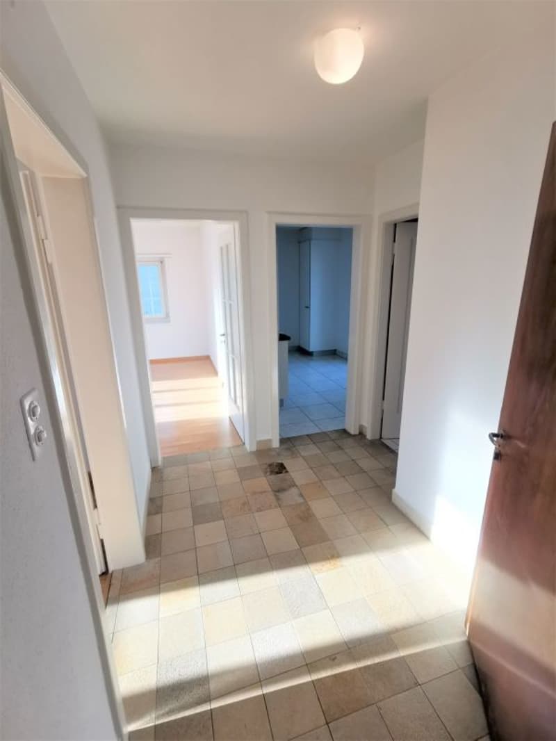 2-Zimmerwohnung in Binningen (5)