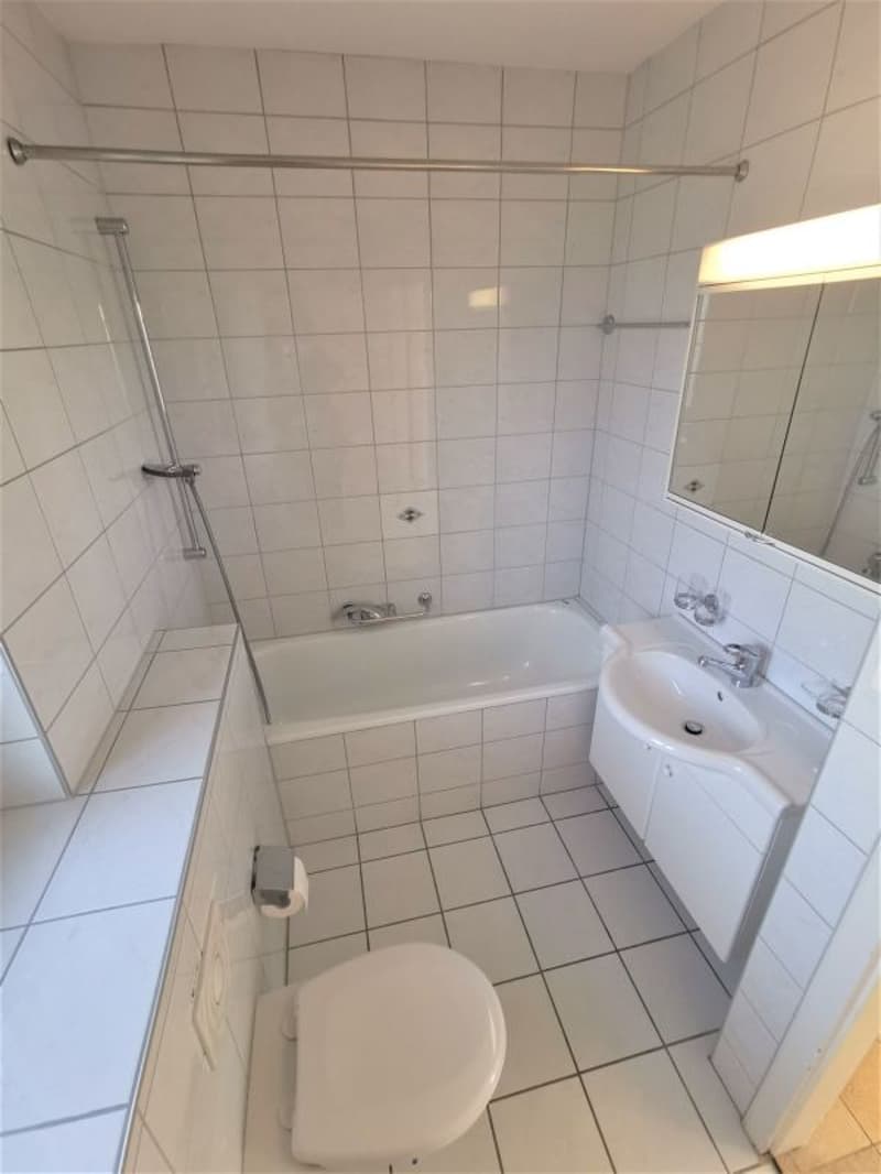 2-Zimmerwohnung in Binningen (4)