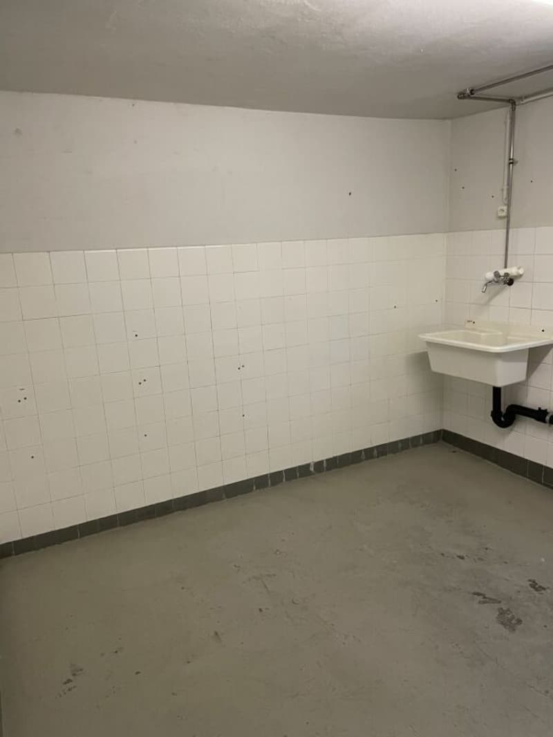 Gewerbefläche in Basel (6)