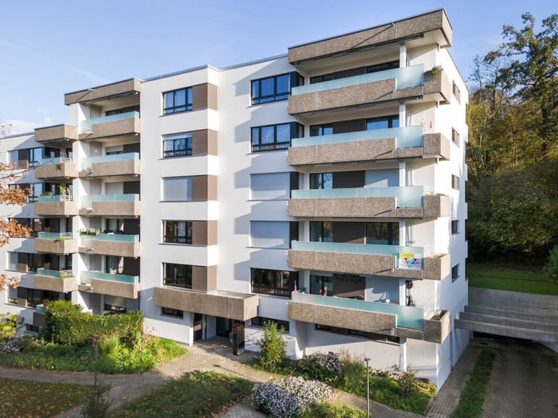 Moderne 5.5-Zimmerwohnung in Oberwil (1)