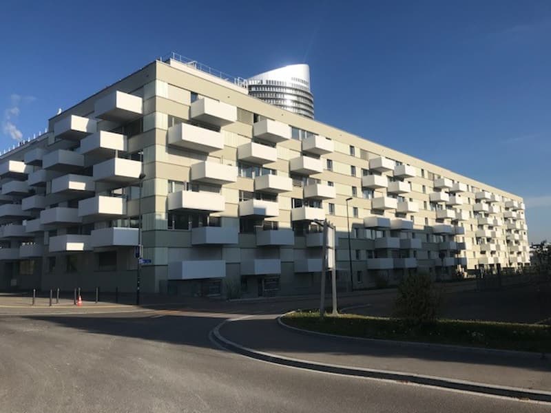 Maisonette moderna di 2,5 locali nel popolare quartiere di Hochbord - disponibile immediatamente (1)