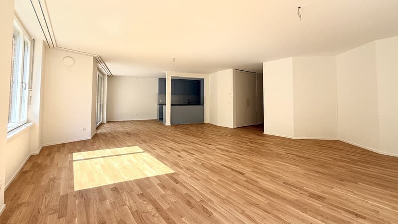 Spacious 3.5-room apartment with 115m² in Brünnlipark Opfikon (3)