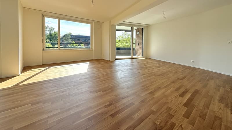 Piano ideale per un appartamento condiviso da 3 persone: prima occupazione a Brünnlipark Opfikon (3)