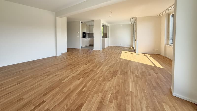 Piano ideale per un appartamento condiviso da 3 persone: prima occupazione a Brünnlipark Opfikon (2)