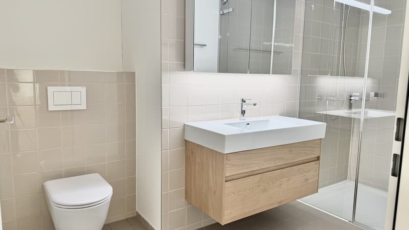 Grosszügige 4.5-Zimmer-Wohnung mit 143 m² in Opfikon  frisch saniert (7)