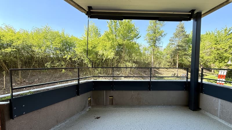Platz für die ganze Familie  4.5 Zimmer mit zwei Balkonen im Brünnlipark (10)