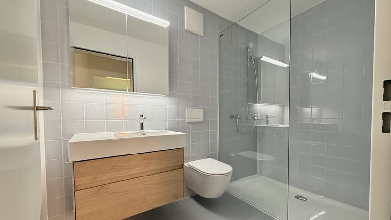 Platz für die ganze Familie  4.5 Zimmer mit zwei Balkonen im Brünnlipark (6)