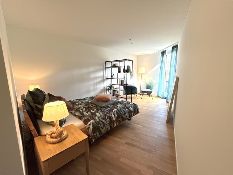 Aussergewöhnliche 3.5 Zimmer-Wohnung mit 115 m² erstmals zu vermieten (7)