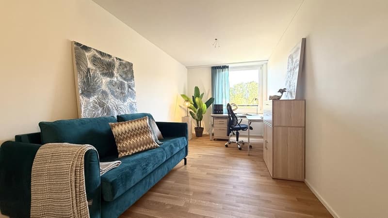 Aussergewöhnliche 3.5 Zimmer-Wohnung mit 115 m² erstmals zu vermieten (10)