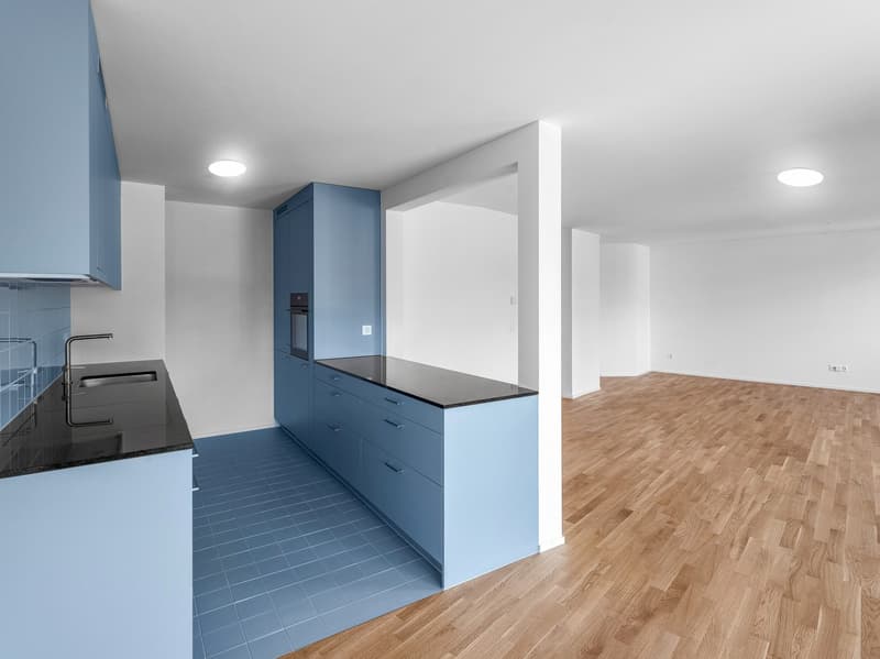 Aussergewöhnliche 3.5 Zimmer-Wohnung mit 115 m² erstmals zu vermieten (4)