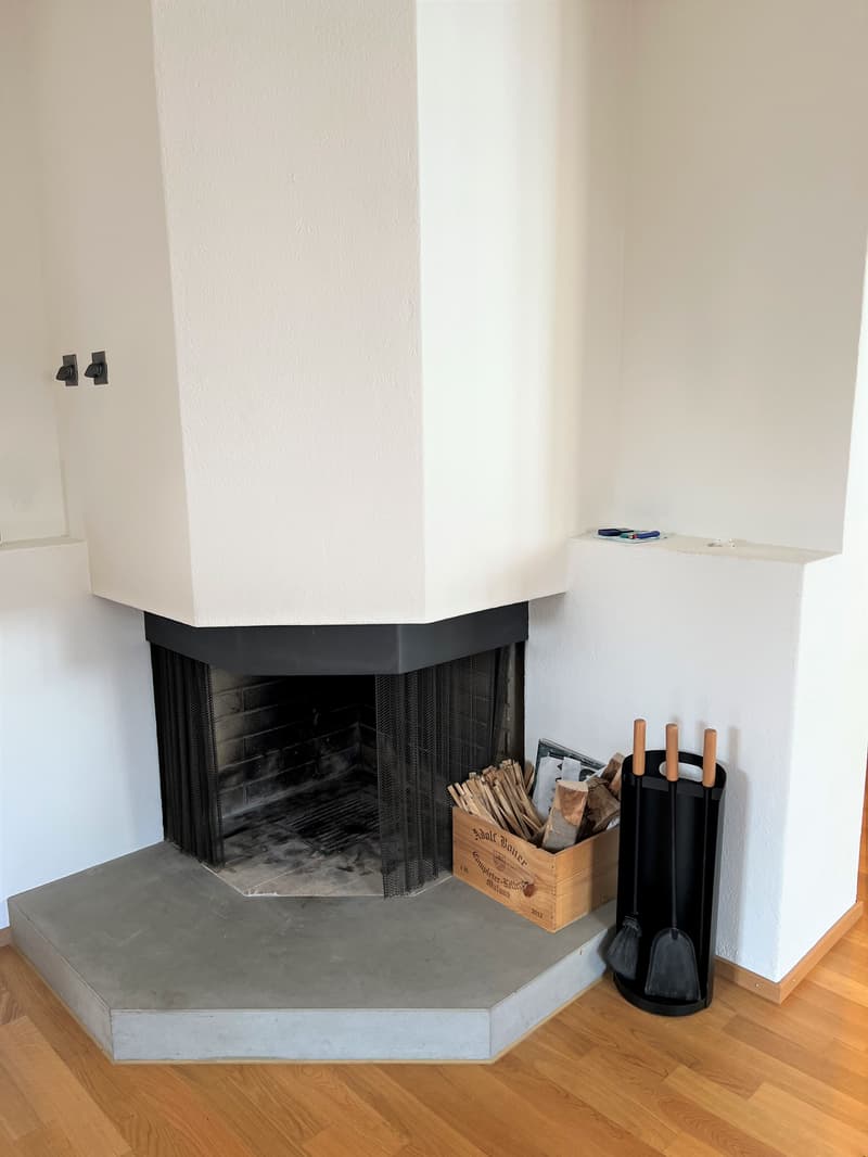Appartamento duplex di 3 locali con vista su Zurigo (circa 100m2) (3)