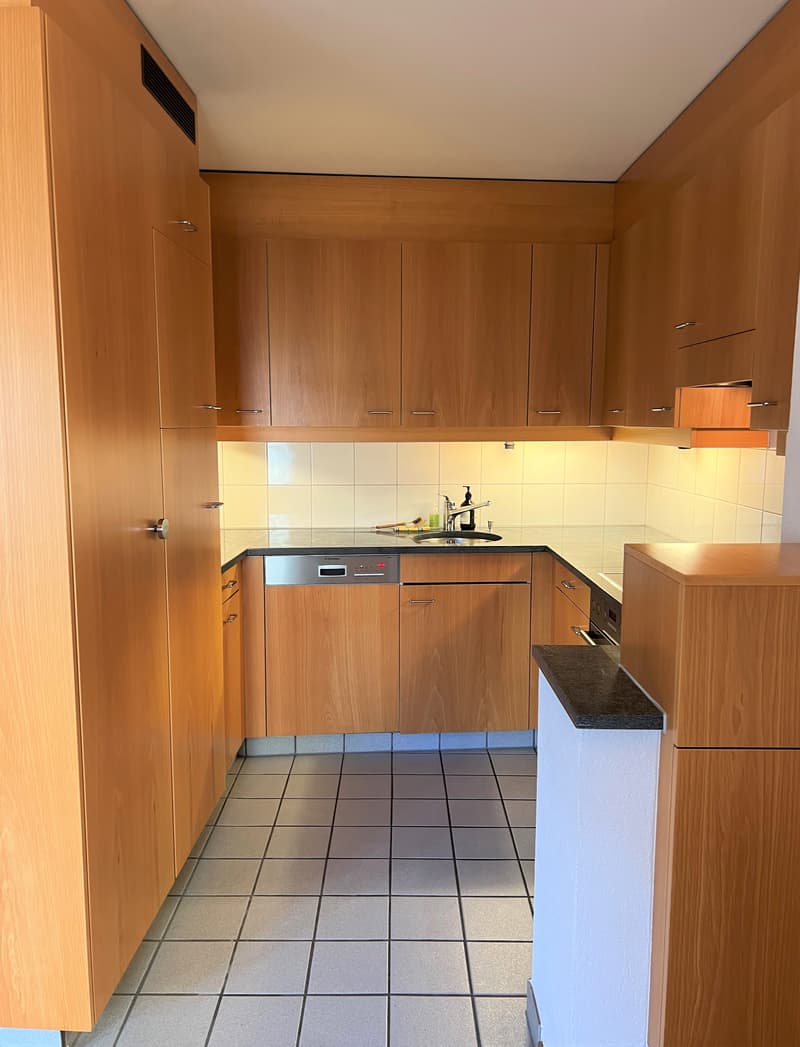 Appartamento duplex di 3 locali con vista su Zurigo (circa 100m2) (4)