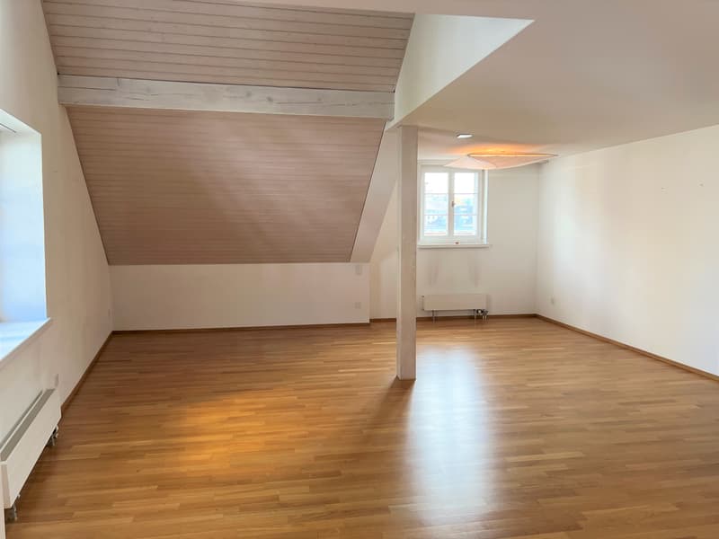 Appartamento duplex di 3 locali con vista su Zurigo (circa 100m2) (2)