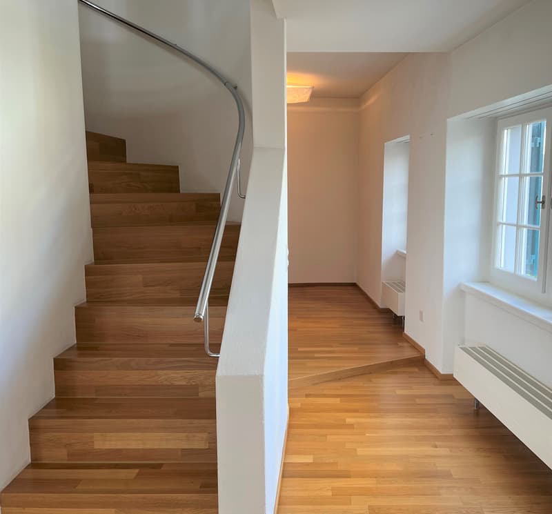Appartamento duplex di 3 locali con vista su Zurigo (circa 100m2) (5)
