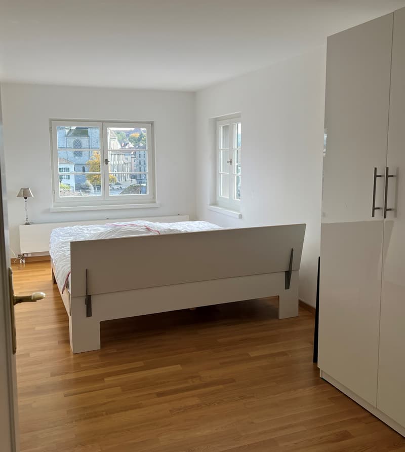 Appartamento duplex di 3 locali con vista su Zurigo (circa 100m2) (7)