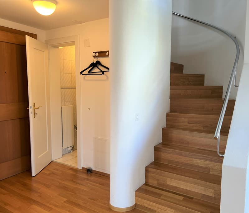 Appartamento duplex di 3 locali con vista su Zurigo (circa 100m2) (1)