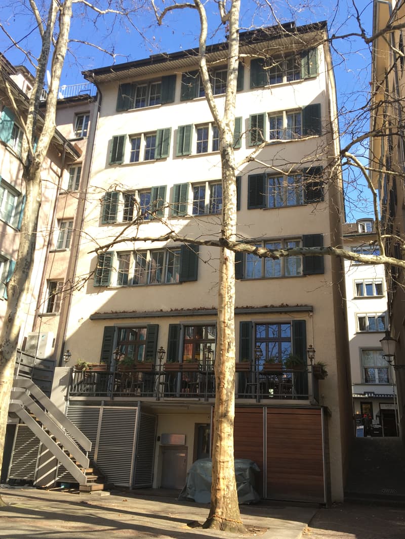 2 1/2-Maisonettewohnung inmitten der pulsierenden Altstadt (Niederdorf) (4)