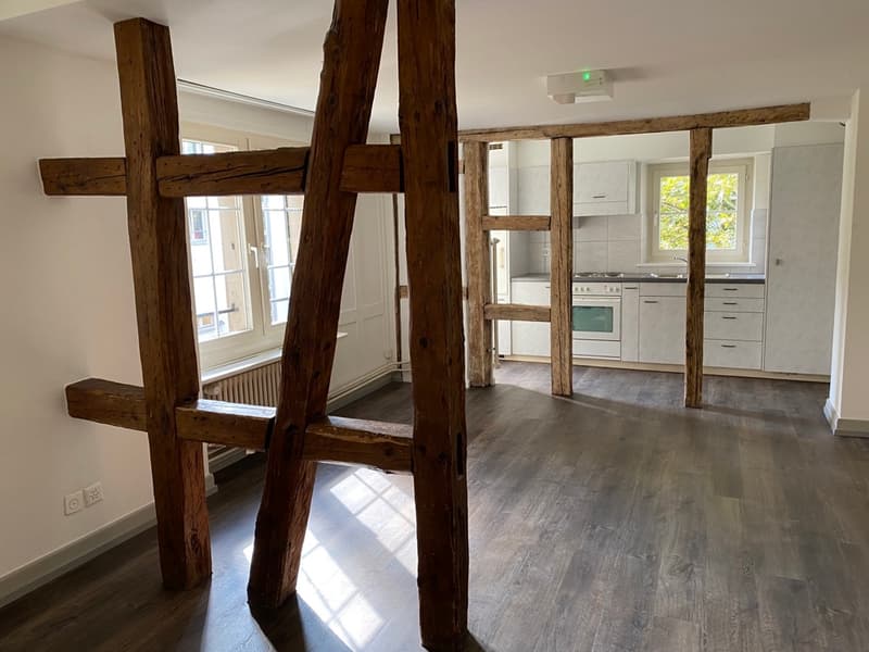 Wohnvergnügen im Herzen der Altstadt (ca. 44m2) (1)