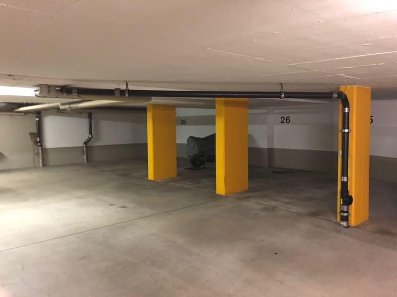 Parking space for rent (1)