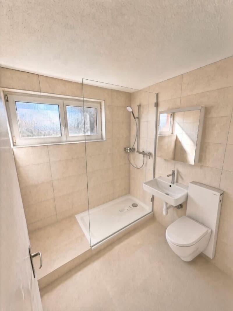 Dusche (Visualisiert)