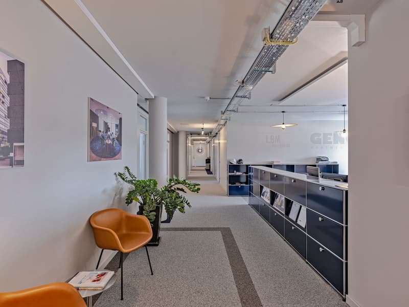 ULTIMA CHANCE – UFFICIO CON TERRAZZA ESCLUSIVA NEL KOWERK DIETLIKON (12)