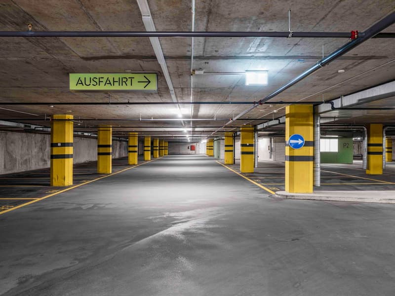 ULTIMA CHANCE – UFFICIO CON TERRAZZA ESCLUSIVA NEL KOWERK DIETLIKON (23)