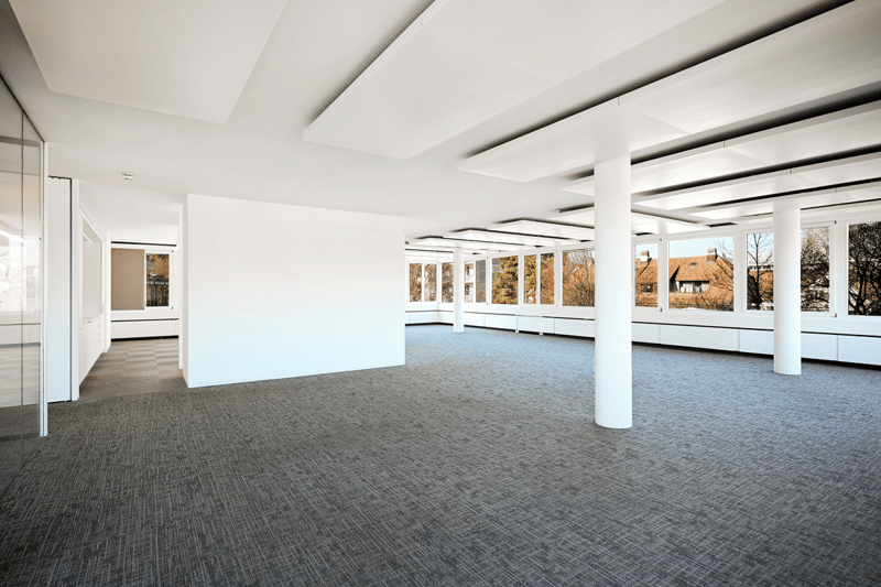 empty room, white walls, gray carpet, glass windows, white ceiling
