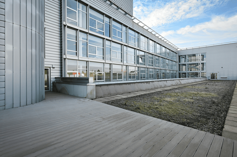 Modern building with glass windows, metal siding, paved entrance, grass patch