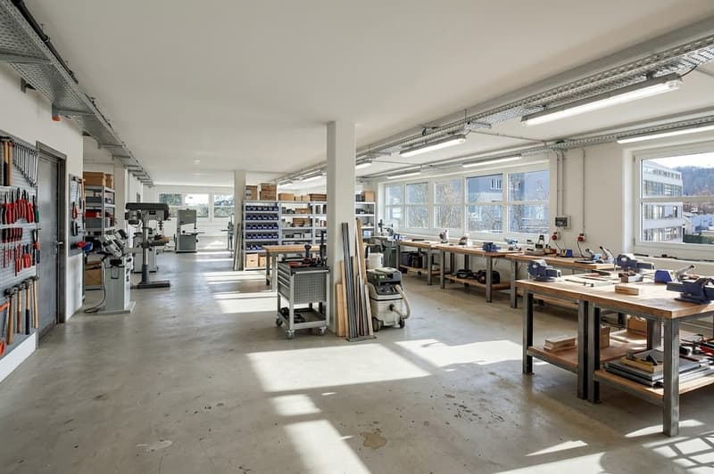 Espaces de bureau et commerciaux polyvalents (8)