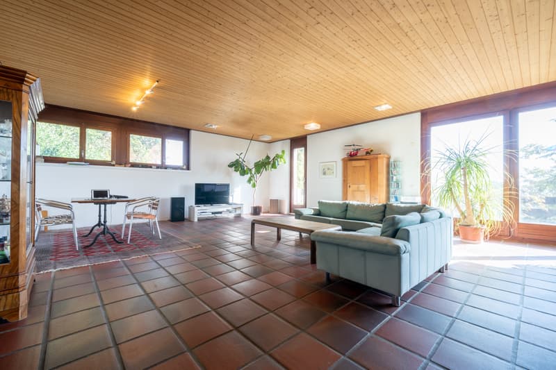 Villa rustique avec vue sur les Alpes (3)