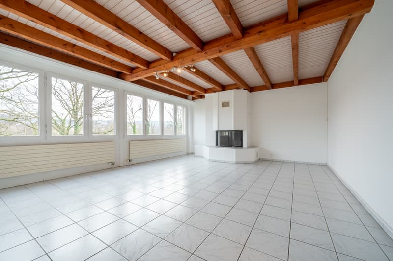 Grande casa a schiera con potenziale di sviluppo (4)
