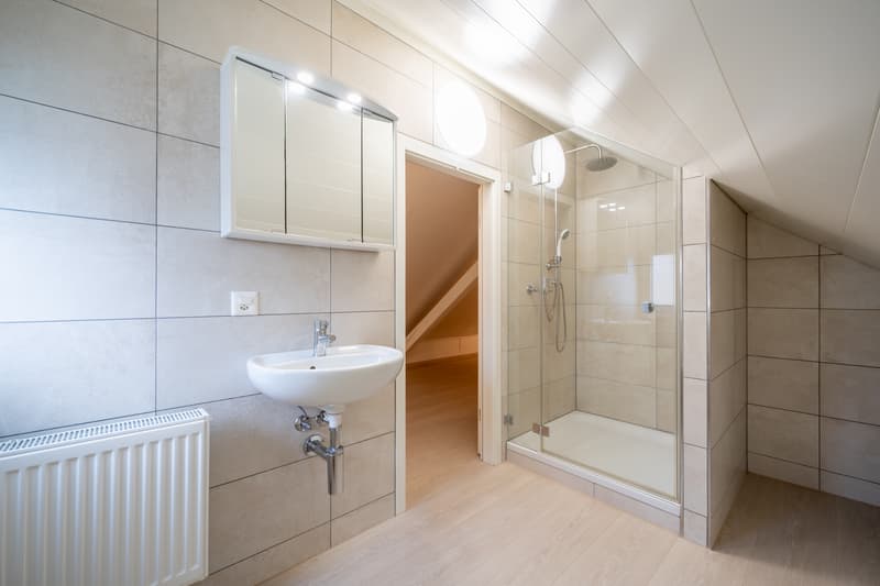 Grande casa a schiera con potenziale di sviluppo (9)