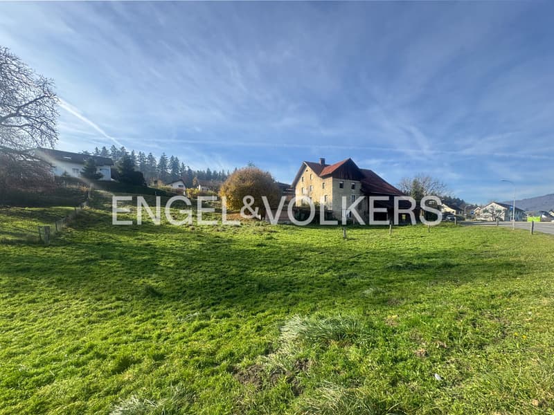 Exclusive and approved area development (1)