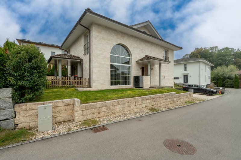 Elegant Mediterranean-Style Villa (2)