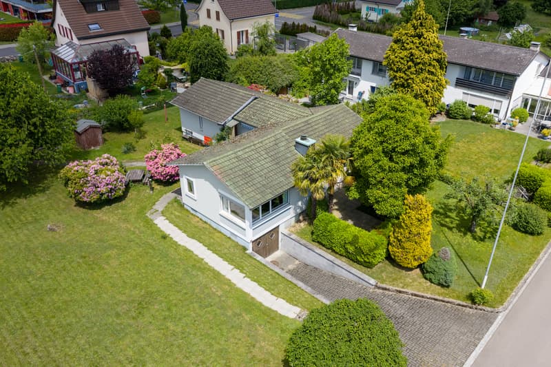Detached family house with studio and garden oasis (1)